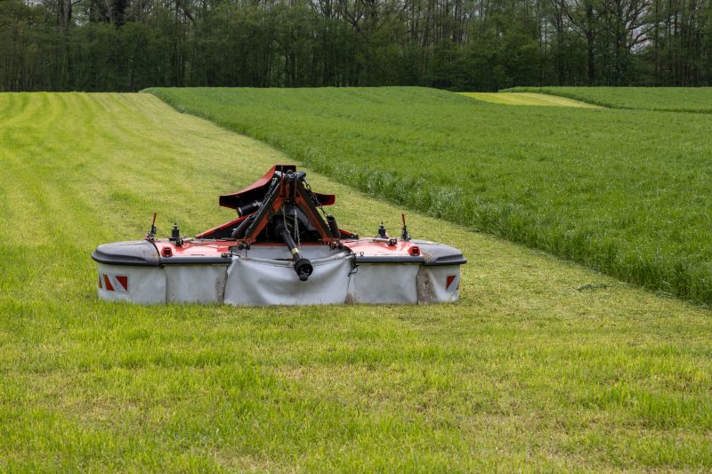 Vegetation Being Cut