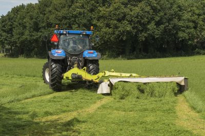 Bush Hogging Service Cost — Cost of Bush Hogging Service