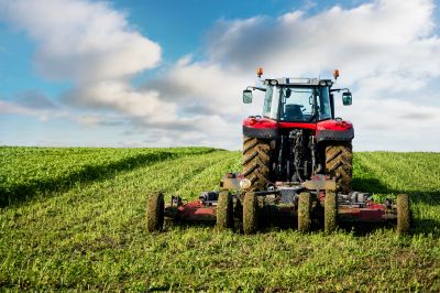 Bush Hogging Service