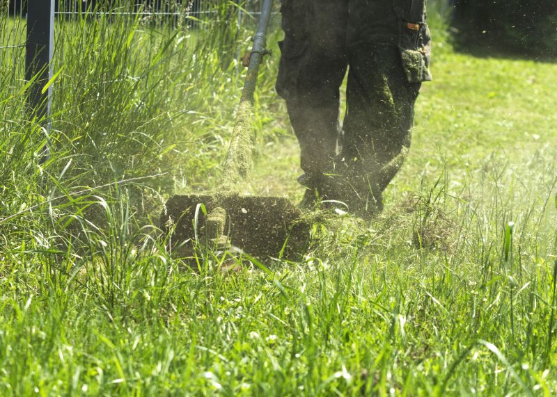 Meadow Mowing in Waldorf, MD