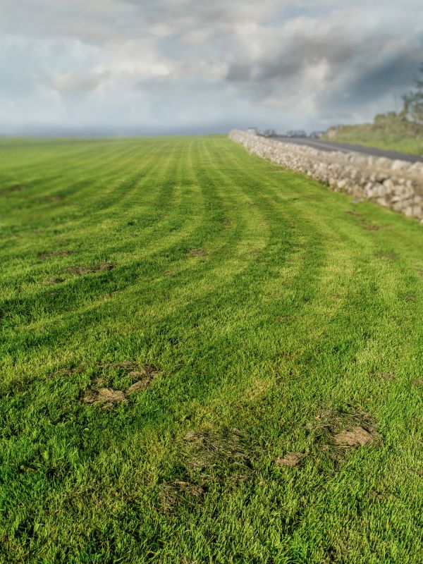 Pasture Mowing in Prince Georges County, MD