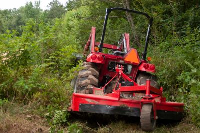 Cut Down Challenging Vegetation