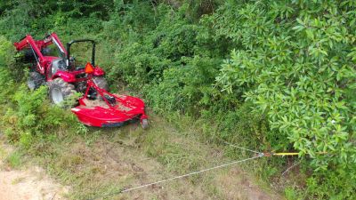 Clear Unwanted Shrubs, Weeds, and Tall Grass