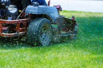 Professional Bush Hogging Service Options