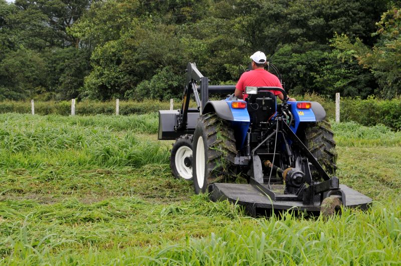 Bush Hogging Service Listings